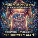 메타솔루션 | 뉴스킨 메타 유산균 선택한 후기 : 장건강 유산균 만으로는 부족하다?