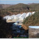 삼거리축사 이미지