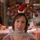 카멜리아 이미지