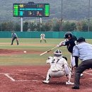 보은 아이뉴스24