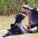 안하마을 이미지