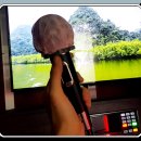 24시가즈아코인노래연습장 이미지