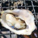 남촌 | 사천 서포 굴구이 분위기 감성 맛집 남촌횟집 후기