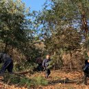 두레마을 이미지