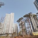 일광자이푸르지오2단지 분석, 2025 부동산 시세·비용·추천 꿀팁