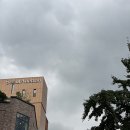 서울옥션 제로베이스 프리뷰. 압구정 카페로이. 명품수선 영동사 방문기