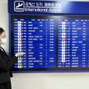 테마항공여행사