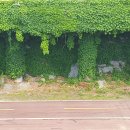 호계천변 이미지