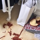 안녕 멈머야 네이버블로그