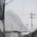 춤추는머리나라 이미지