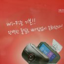 팔마카오디오 이미지