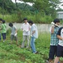 석수농장2 이미지