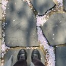 연세하늘치과의원 이미지