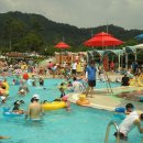 신정호야외수영장 이미지