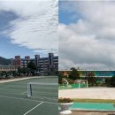 고성군 4 이미지