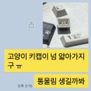알리 키캡 후기+VARO 기본 스위치 구매 방법 (저소음 민트, 리니어 퍼플)