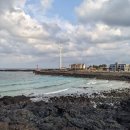 유한회사 제주의소리 | [2026 JEJU] 홈쇼핑 제주 패키지 - 미로투어 1&amp;2일차