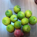 세신농장 이미지