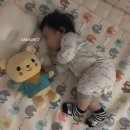 프렌들리베어