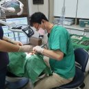 프라임 치과기공소 이미지