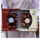 보은대추말티재농장