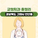 교1세천 | 경상북도 구미시 선산읍 교정치과 총정리