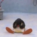 세진 이미지