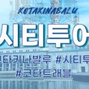 트레블시티주