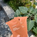 아모레미용실 - 광진구 | [강릉] C컬펌 맛집,원주민이 가는 강릉교동미용실 '어뉴헤어' 솔직후기