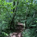 동삭동 소로 3-406 | [제주/5월] 엄빠랑 3박 4일 렌터카 제주 여행기 #1.