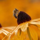 서신동 일타 복싱 이미지