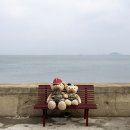 소무이도 산책 이미지