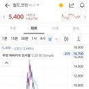 월드정보 이미지