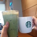 한라동물종합병원 | 친구랑 건강검진하고 샤브샤브먹으러 가기❤ (feat.수면 위내시경/웰니스건강검진센터)