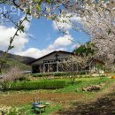 해안의 집 | 화천군요양원 해안의집 후기