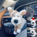 조영자동차 이미지