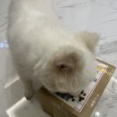 박서방상회 이미지