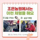 조은농원