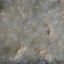 신기한나라어린이집 이미지