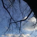 순일농장 이미지