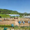 유성농장 2 이미지