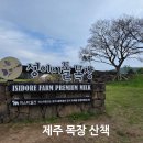 이시돌쉼터 | 제주 자연 속에서 만난 평온한 하루 성이시돌 목장 산책 이야기