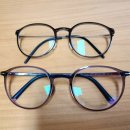 안경나래 이미지