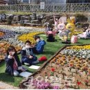 경산중앙초등학교