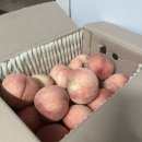 강경제일청과 | 농라에프 옥이네과일 딱딱이복숭아 후기