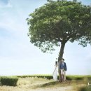 나우목장 이미지