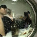 Holly Molly 이미지