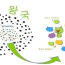 뜨랑키즈 어린이집 네이버블로그