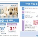 HK 저축은행 머니투데이
