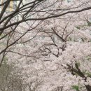 명자커피